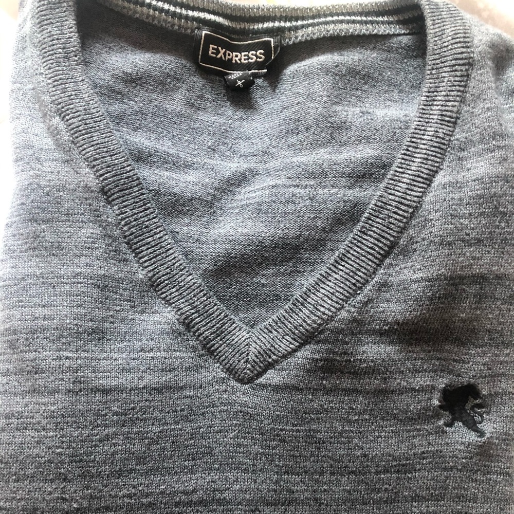 Men’s Express V-Neck Sweater